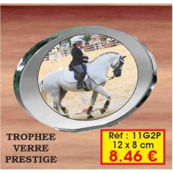 TROPHEE VERRE PRESTIGE PERSONNALISE : REF. 11G2P - 12 x 8 CM